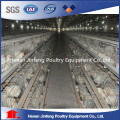 Meilleure vente Cage automatique de poulets de chair pour la cage de volaille (un type)
